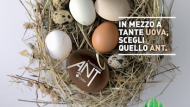 Fondazione ANT: Uova di Pasqua solidali
