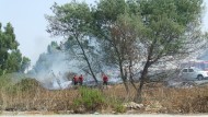 Vallelata: in fiamme area destinata a verde pubblico