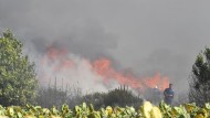Incendio ad Aprilia: a fuoco sterpaglie e pneumatici