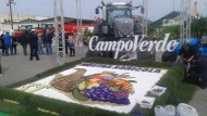Torna la Mostra Agricola di Campoverde, 32esima edizione nel segno della natura