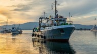 Pesca: quasi 3 mln euro per imprese Lazio nel 2021.