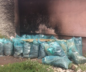 immondizia bruciata davanti ad un'abitazione
