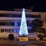 L’installazione dell’albero di Natale di Aprilia costerà 3.000 €