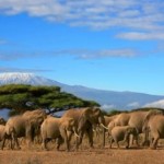 Parco Nazionale di Amboseli
