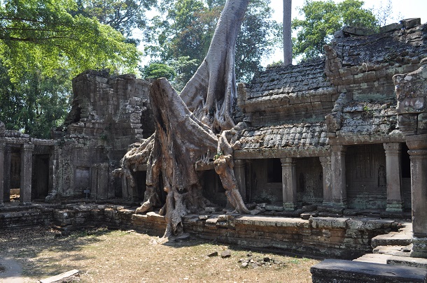 Preah Khan, Siem Reap Cambogia
