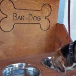 Vandali ancora in azione: rubato il “Bar-Dog” del Caffè del Gatto