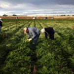 Il Sindaco di Aprilia interviene sul caso dell’operaio agricolo malmenato a Campoverde.