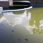 Acqua sporca e stagnante alla fontana di Piazza Roma, la segnalazione di Pina Ricci