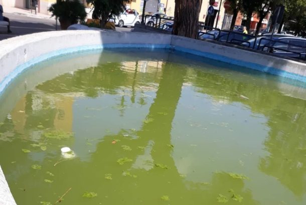 acqua sporca fontana piazza roma