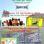 Esposizione di bellezza “Un cane per Amico”: l’evento il 19 settembre.