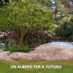 “Un albero per il futuro”, l’iniziativa di Aprilia per una città più green.