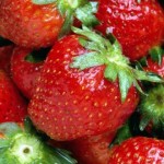 Come coltivare le Fragole 