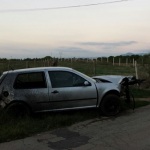 Auto esce di strada, gli occupanti fuggono