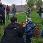 Giornata mondiale albero, lodevole iniziativa nel quartiere Toscanini.